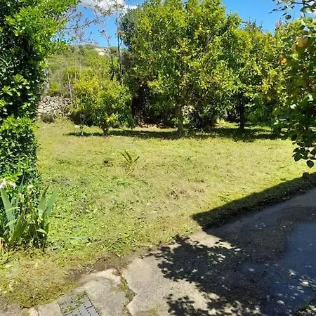 Vakantiehuis S'oliariu Martis